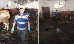 Erzincan'da hayvan sağlığı seferberliği