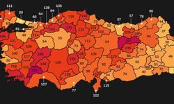 Erzincan'da kahreden tablo... Bu nasıl düzelecek?