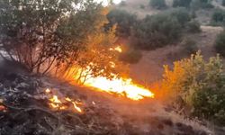 Erzincan’da orman yangını