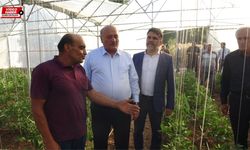 Erzincan’da yeşeren umut: Seracılıkla ekonomiye katkı