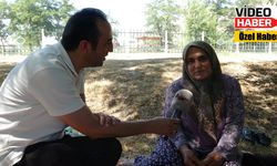Erzincan’ın serin kaçamağı sıcak havalarda boş kaldı
