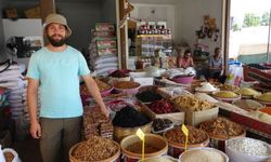 Erzincan’da kuru kayısı altınla yarışıyor! Saruç 1300 Tl’ye dayandı!