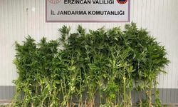 Erzincan'da 1 ayda 242 suçun %94'ü aydınlatıldı...