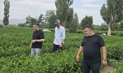 Erzincan'da  Başkan Kabadayı çiftçilerle omuz omuza
