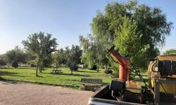 Erzincan'da karasinek ve sivrisinek mücadelesi