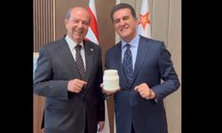 Erzincan Tulum Peynirine kardeş geldi....