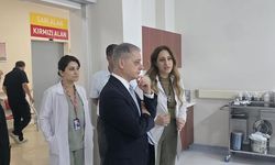Erzincan’dan Kemah’a sağlık çıkarması!