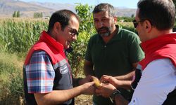 Erzincan'da sektörün gözdesi oldu...