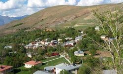 Erzincan'da festival var, 7 sanatçı sahne alacak...