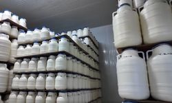 Erzincan’ın efsane lezzeti Dünya yolunda