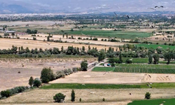 Gökyüzünün sadık yolcuları Erzincan’da mola verdi