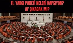 Trafik ve suç cezaları artacak