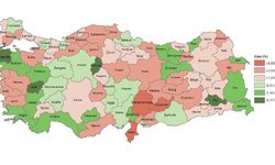 Erzincan beşeri sermaye endeksinin en yüksek illerinden oldu