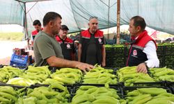 1 milyon 100 bin adet dikti, günde 80 kişi çalıştırıyor…