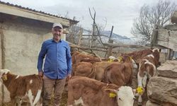 Erzincanlı yetiştiricilerin dikkatine... Başvurular başladı...