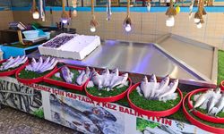 Erzincan’da balık sezonu açıldı: Fiyatlar cep yakıyor, düşüş bekleniyor
