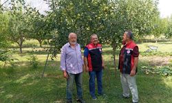 Erzincan’da elma bahçelerine tarım desteği