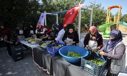 Erzincan Bahçe Kültürleri desteği ile “Lezzetli Turşular Mutlu Sofralar Projesi” hayata geçti