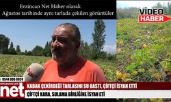 Erzincan’da tarlayı su bastı, çiftçi isyan etti