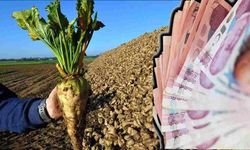 Erzincan çiftçisinin merakla beklediği pancar fiyatları açıklandı...