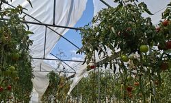Erzincan’da talepte bulunanlar kontrol ediliyor…