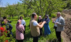 Erzincan'da zirai don ödemesinden kaç kişi faydalanacak? Toplam ödeme ne kadar?