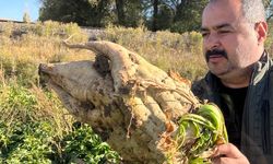 Üreticiden gelen yoğun tepki kararı iptal ettirtti...