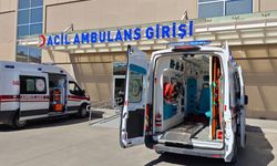 Erzincan'daki kazada Rus asıllı sürücü hayatını kaybetti