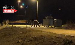 Dumanlı Yaylası'nda kamp keyfi kısa sürdü