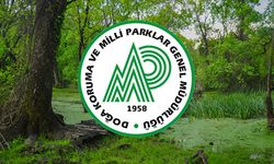 DKMP 240 Yeni Personel Alımı Yapacak...