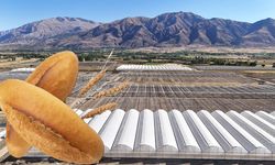 Ekmek fiyatları ve tarımda kritik kararlar alındı