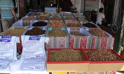 Erzincan Merkezde 250, Kemaliye'de 500, Elazığ'da 1000 TL
