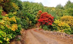 Erzincan için Pastırma yazı tarihleri belli oldu