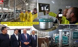 Erzincan’da inekler kendi istekleriyle sağım robotuna gidiyor!