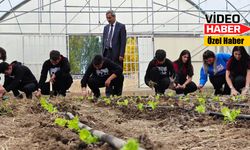 Erzincan’ın tarım öğrencileri hasatlarının satışına başladı