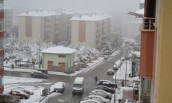 Erzurum güne karla uyandı