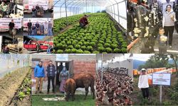 Köye dönecek gençlere müjde! 3 milyon TL destek var