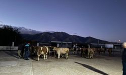 Erzincan İl Müdürlüğü tüm önlemleri alarak pazarı açtı...