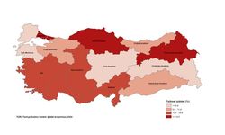 Erzincan kadına şiddetin en yoğun olduğu illerden oldu