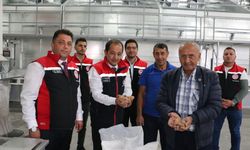 Erzincan'ın 1398 rakımlı köyünde ülkenin en kaliteli cevizleri yetiştiriliyor