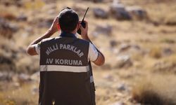 Doğa Koruma ve Milli Parklar Genel Müdürlüğü personel alacak