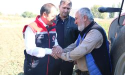 Erzincan’da hasat tüm hızıyla sürüyor...