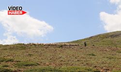 Meralarda Hüzünlü Dönüş Başladı