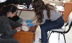 Erzincan'da kedi köpek sahiplerine kritik uyarı...