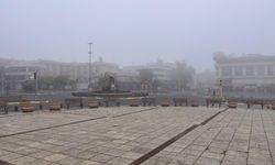 Erzincan'da yoğun sis etkili oluyor