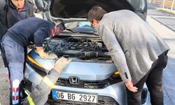 Erzincan’da kedi kurtarma operasyonu