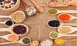 Et yerine tercih edebileceğiniz protein kaynakları...