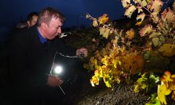 Vali Aydoğdu cep telefonu feneriyle aradı...