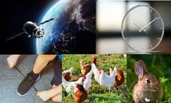 Birbirinden ilginç 10 gerçek ve bağlantıları