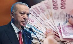 Kamuya borcu olanlara güzel haber geldi: Gecikme faizi düştü